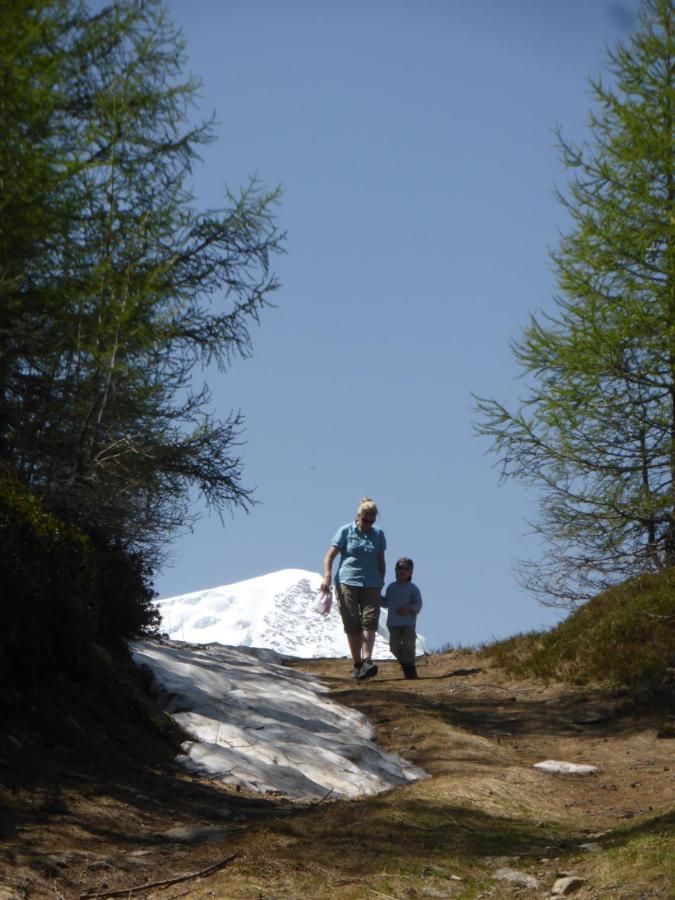 Chalet Birkhahn Saas Fee Εξωτερικό φωτογραφία