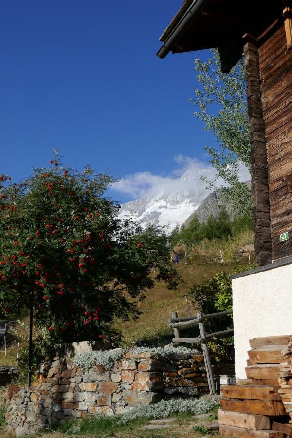Chalet Birkhahn Saas Fee Εξωτερικό φωτογραφία