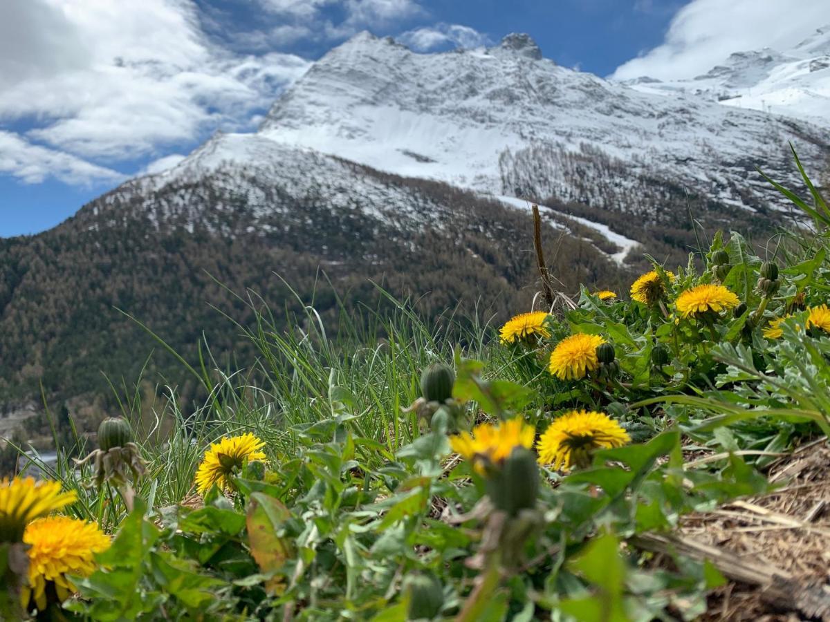 Chalet Birkhahn Saas Fee Εξωτερικό φωτογραφία