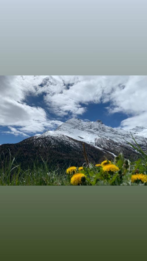 Chalet Birkhahn Saas Fee Εξωτερικό φωτογραφία
