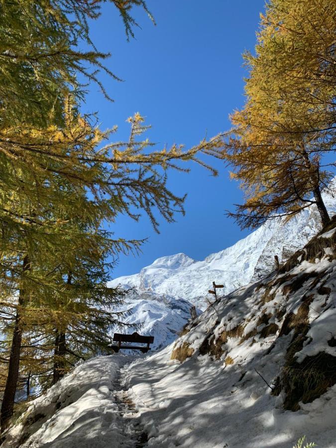 Chalet Birkhahn Saas Fee Εξωτερικό φωτογραφία