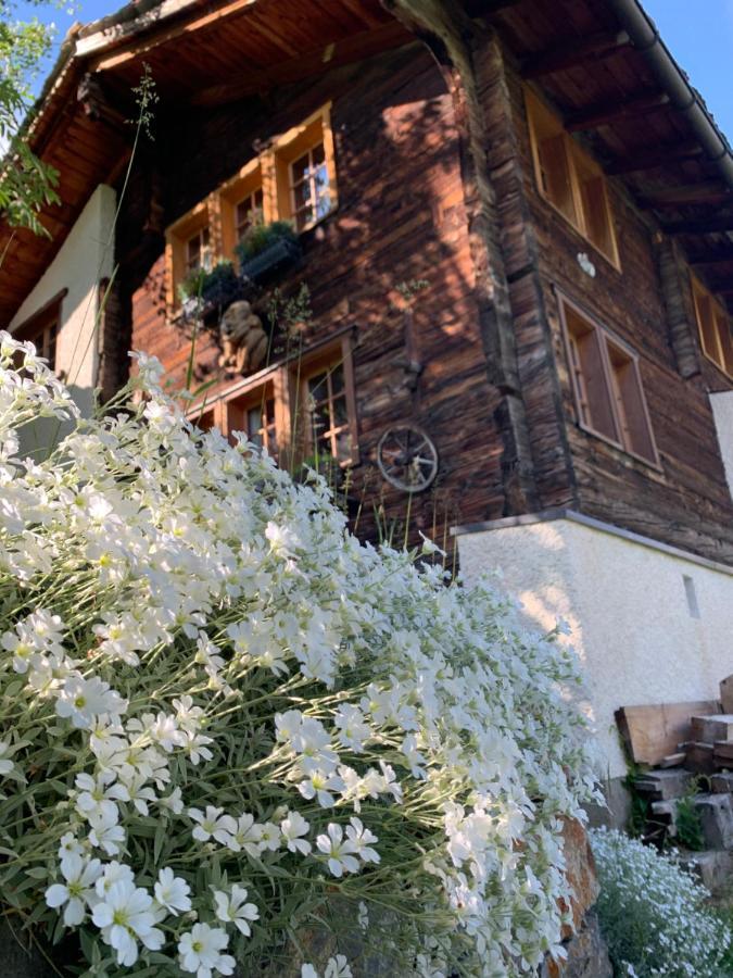 Chalet Birkhahn Saas Fee Εξωτερικό φωτογραφία