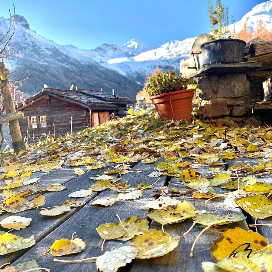 Chalet Birkhahn Saas Fee Εξωτερικό φωτογραφία